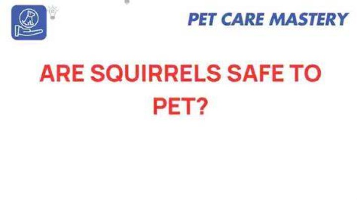 Are Squirrels safe?