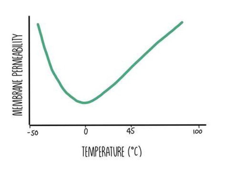 At neel temperature permeability is?