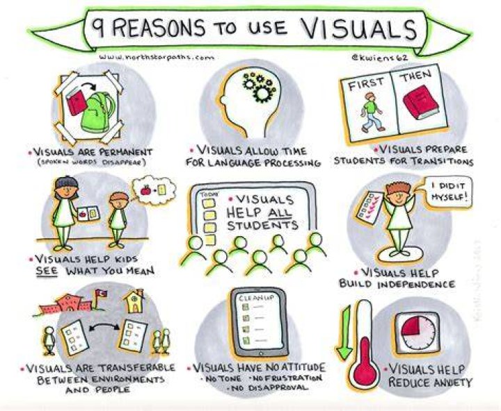 Do visuals help students learn?