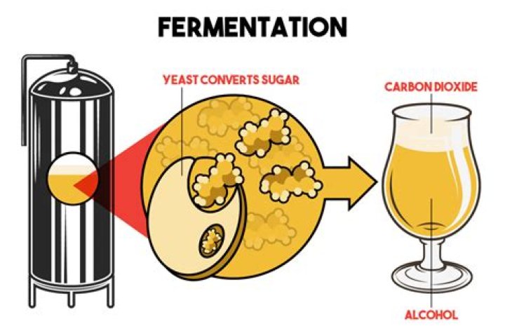 How do you control fermentation temperature homebrew?