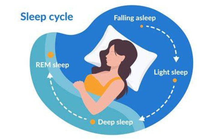 How to start biphasic sleep?