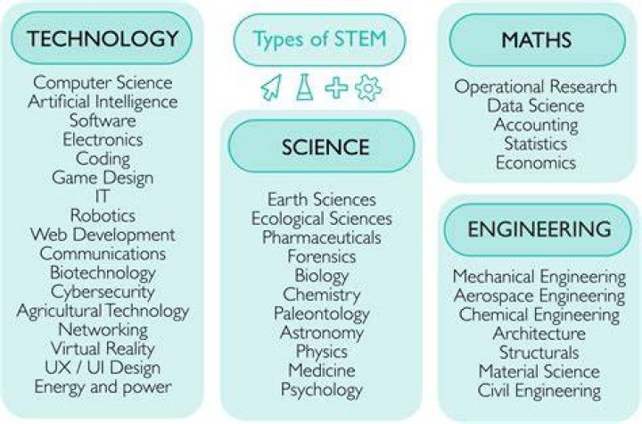 What do you study in STEM?