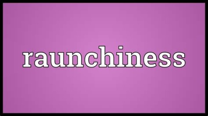What does raunchiness meaning?