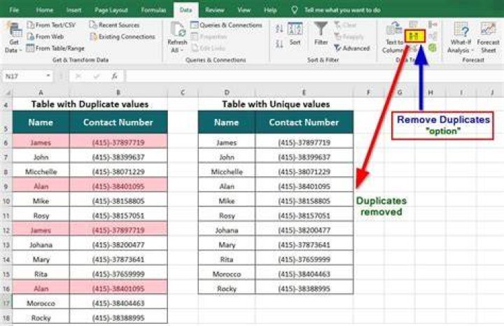 When to use remove duplicates in excel?