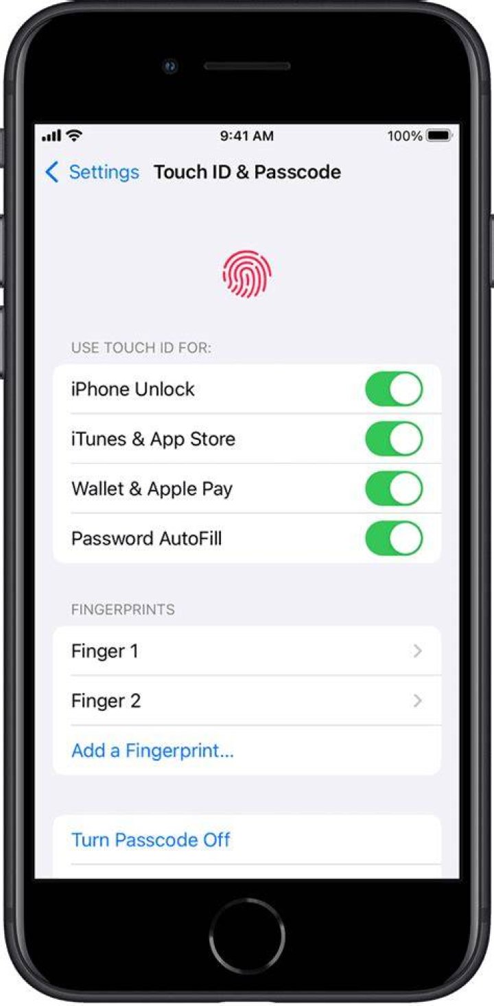 Where touch id iphone 6?