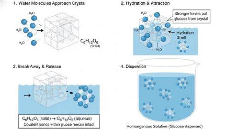 Why does sugar draw out water?